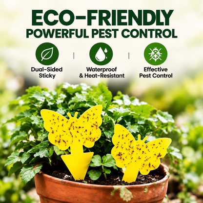 🔥 40% OFF |  Keep Pesky Gnats Away! Indoor Plant Sticky Traps
