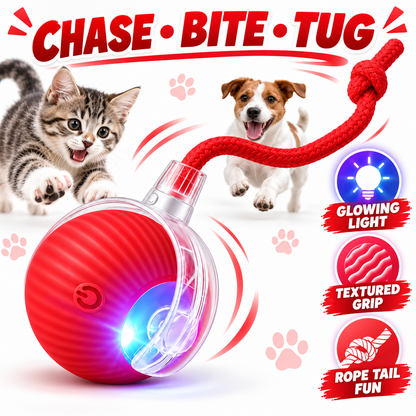 Smart LED Interactive Pet Ball