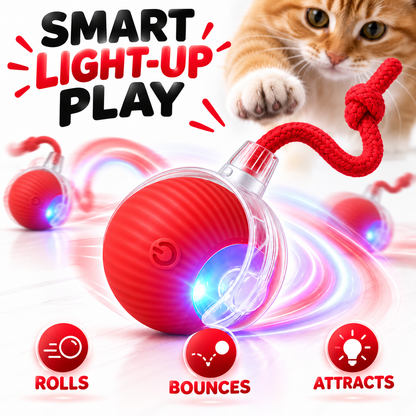 Smart LED Interactive Pet Ball