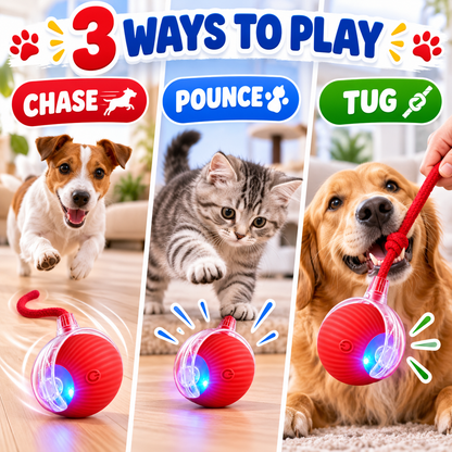 Smart LED Interactive Pet Ball