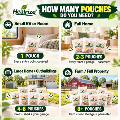 🌿 Botanical Formula, 12 Pouches per Bag