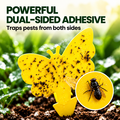 🔥 40% OFF |  Keep Pesky Gnats Away! Indoor Plant Sticky Traps
