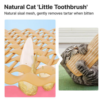 Interactive Catnip Chew Toy with [6000mg A+ Organic Catnip], Soft Sisal Material Scratching and Kicker Cat Toys for Indoor Kittens, Drives Bored Cats Crazy with Fun