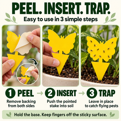 🔥 40% OFF |  Keep Pesky Gnats Away! Indoor Plant Sticky Traps